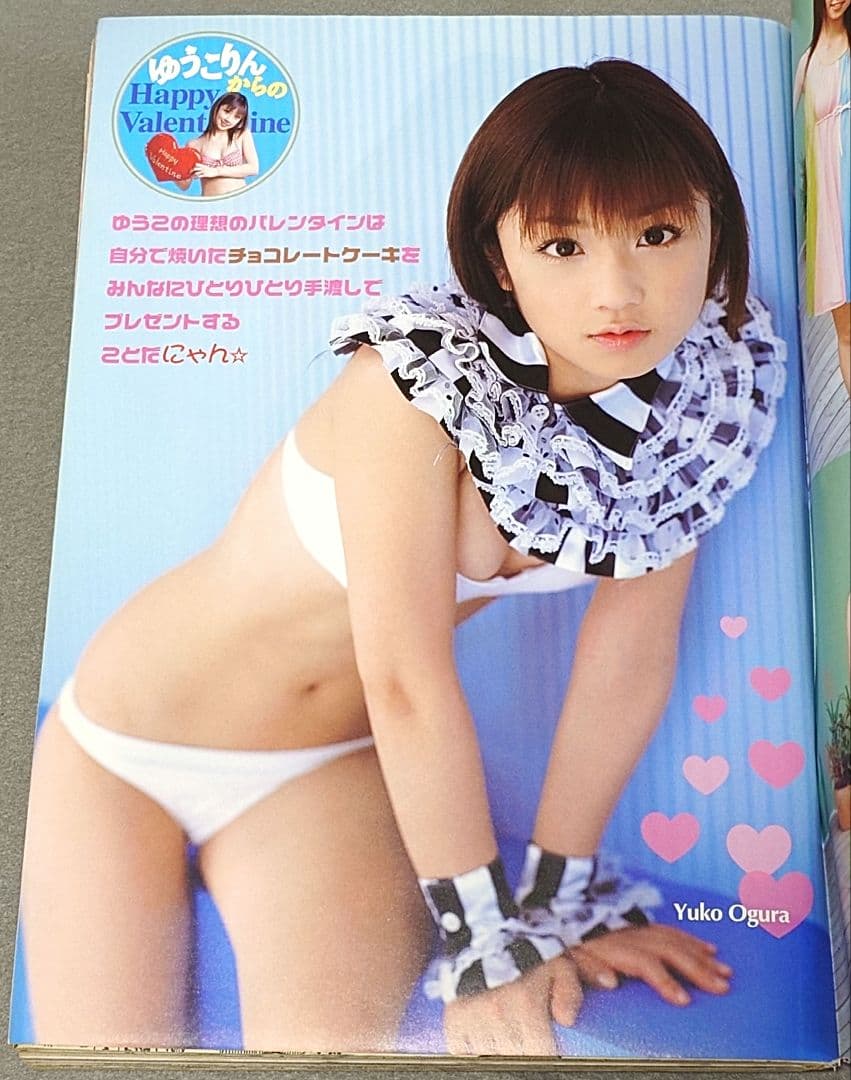 ヤングアニマル2007年3号ベルセルク巻頭カラー第281話掲載/三浦建太郎