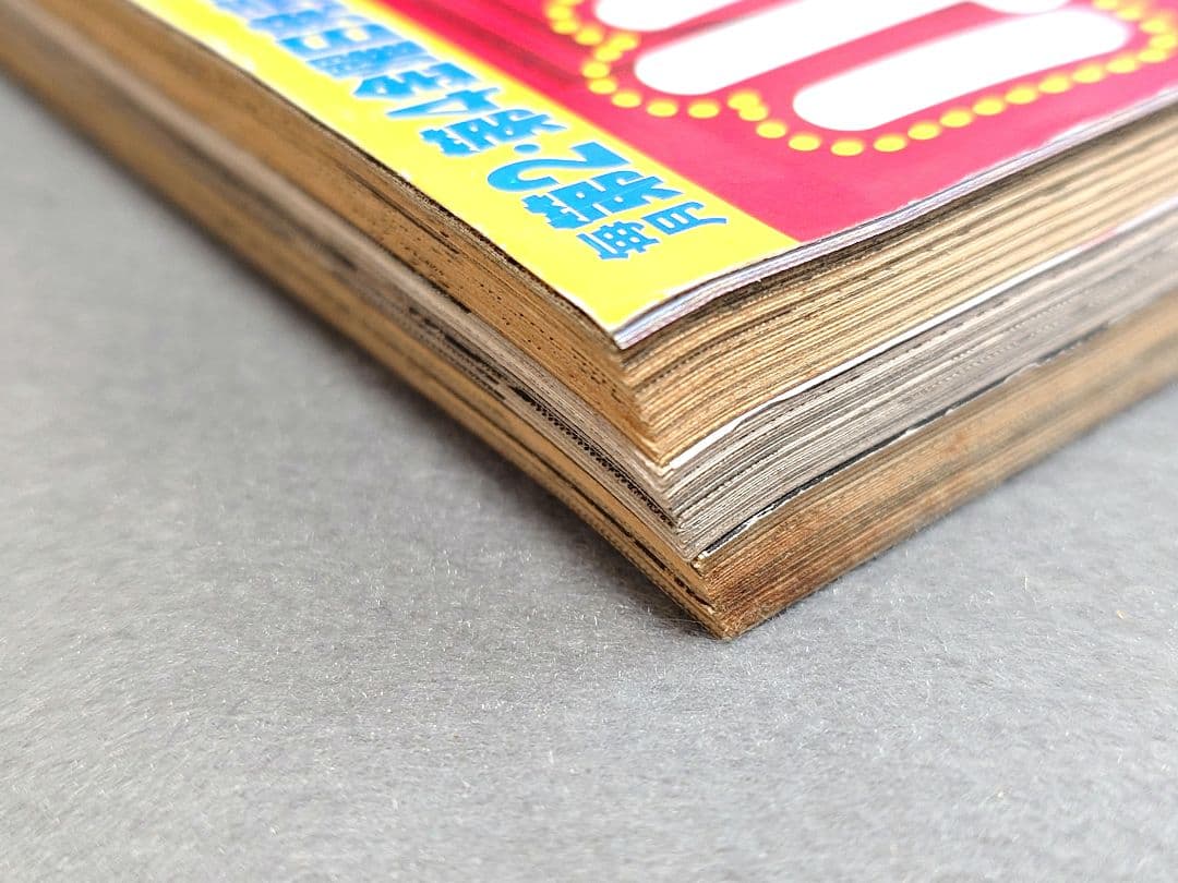 ヤングアニマル2007年3号ベルセルク巻頭カラー第281話掲載/三浦建太郎