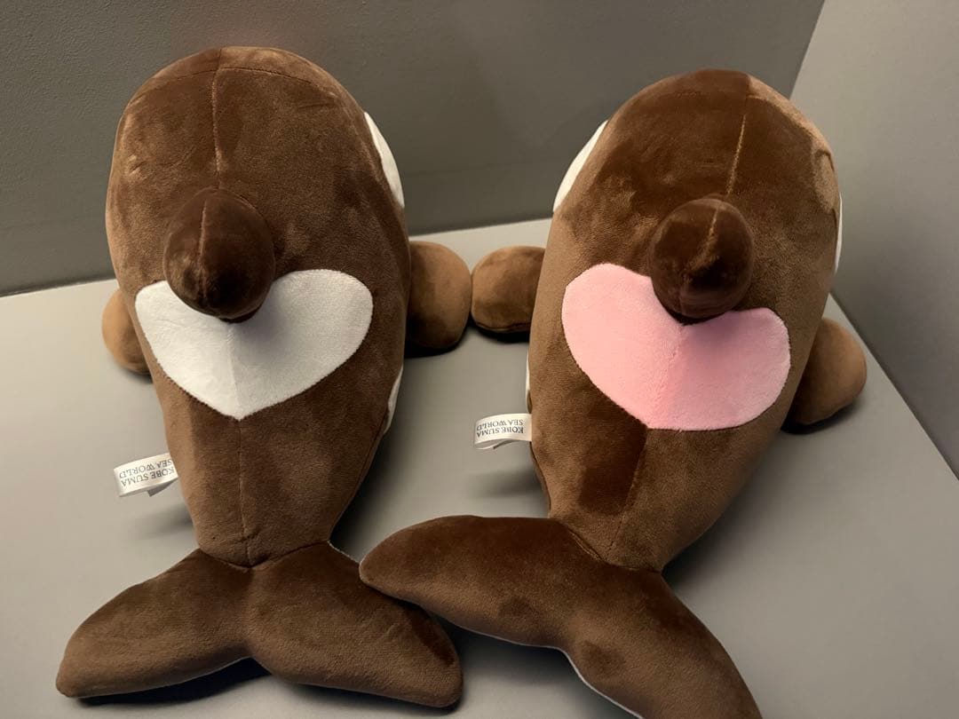 オルカくじ 新色 ショコラ・デュオ 3等 2匹セット 須磨シーワールド