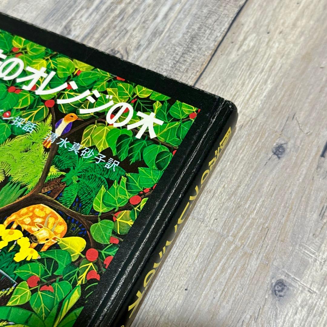 希少】魔法のオレンジの木 - メルカリ