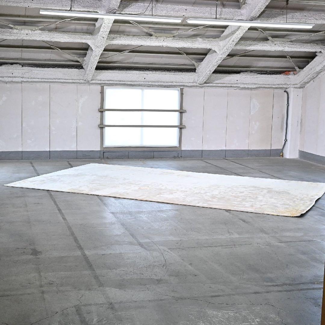 引取り限定Minotti 107万DIBBET ドルドーニ ラグ 引取り限定Minotti 107万DIBBET ドルドーニ ラグ - メルカリ