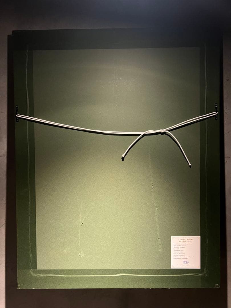 William-Adolphe Bouguereau 【ヴィーナスの誕生】限定百 - メルカリ