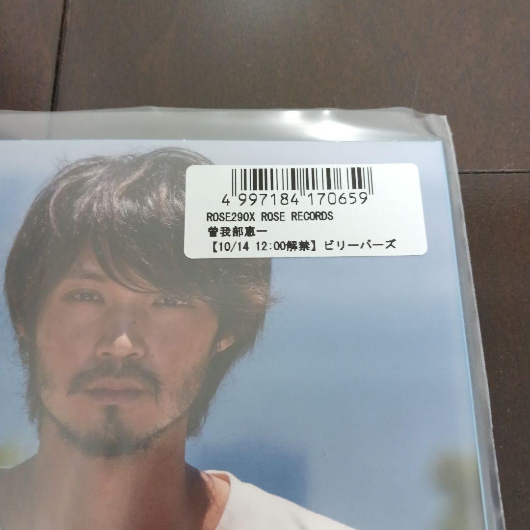 ビリーバーズ 曽我部恵一 アナログ盤LPレコード 新品 サニーデイ