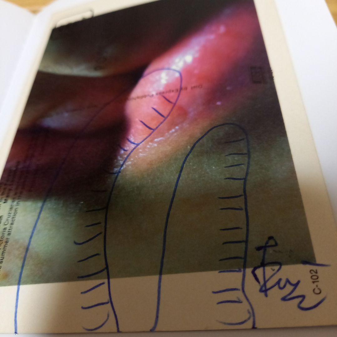 安楽寺えみ写真集 洋書 e hagaki 限定500部 直筆サイン.イラスト入り