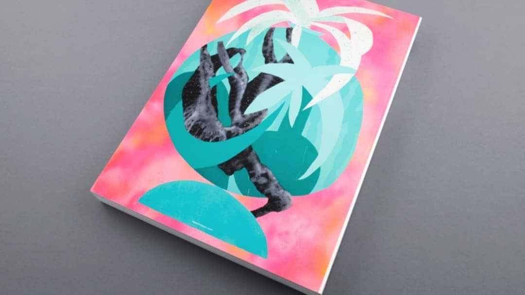 古本 2000部限定 Le petit voyeur #6 カルチャーマガジン - メルカリ