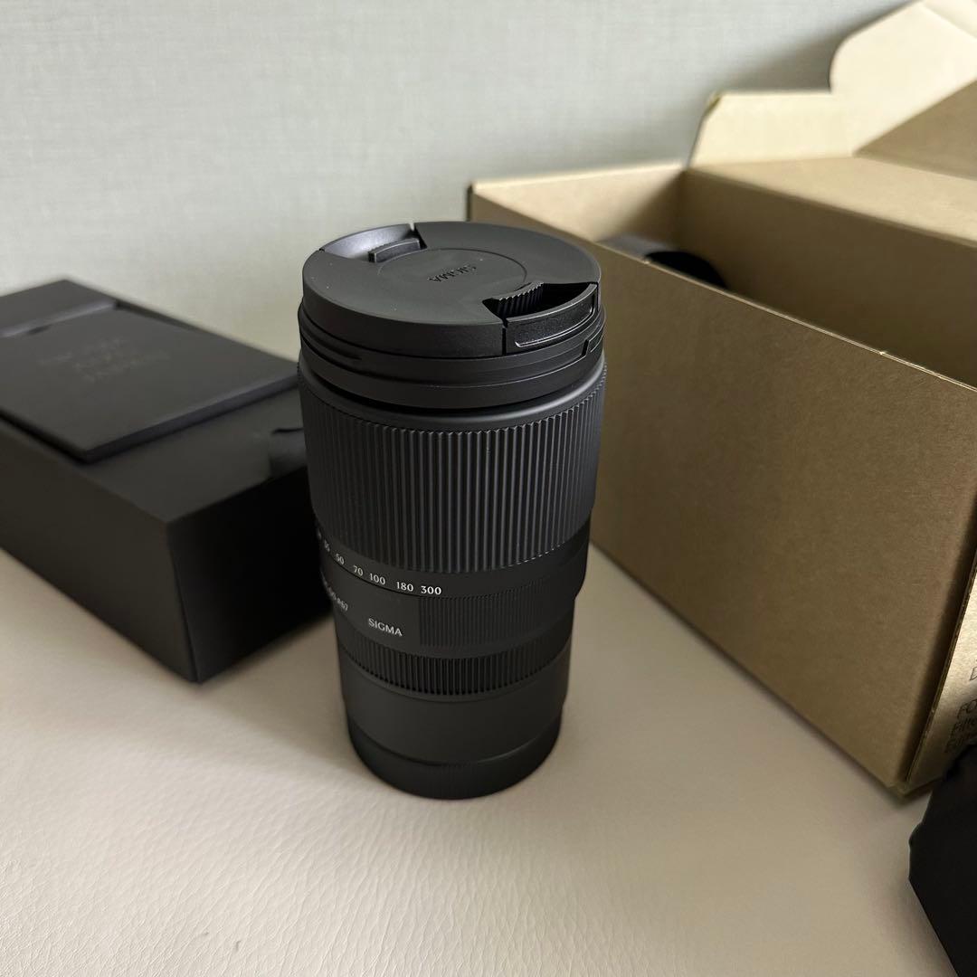 SIGMA 16-300mm F3.5-6.7 DC OS レンズ　CANON