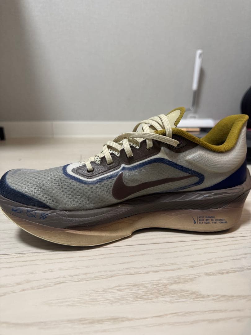 NIKE ズームフライ6 プレミアム　25.5cm