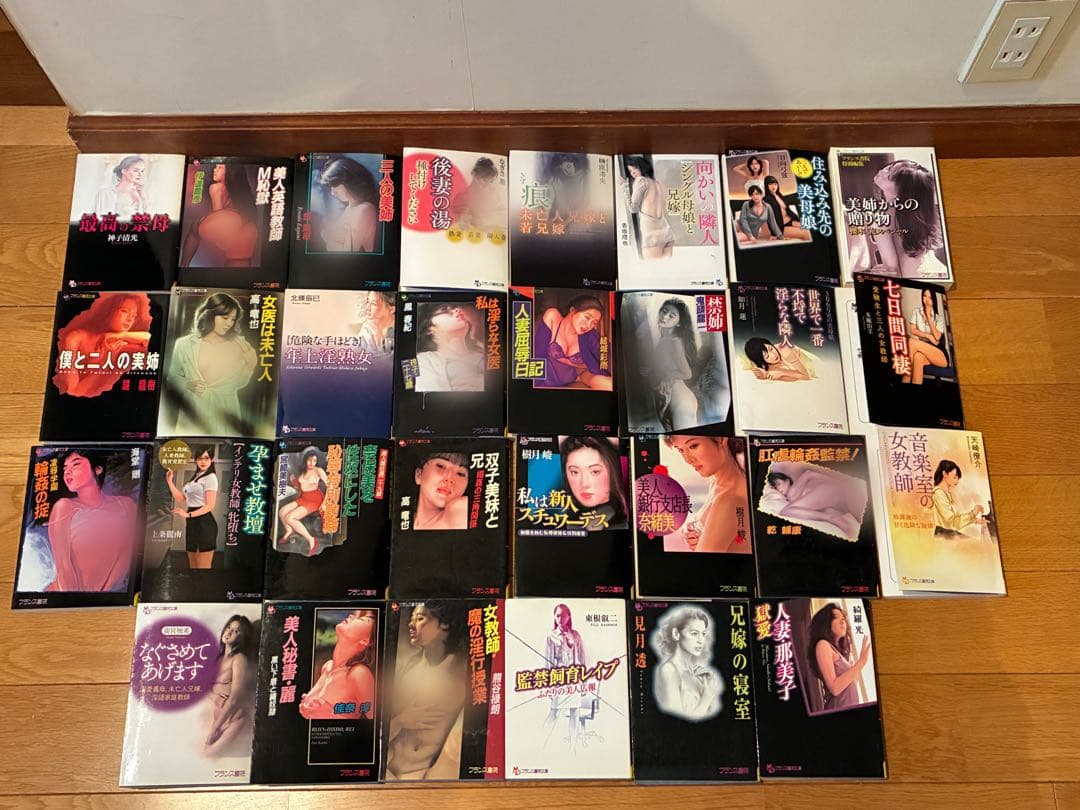 早い者勝ち フランス書院文庫 大量 90冊 大量 まとめ売り 官能小説