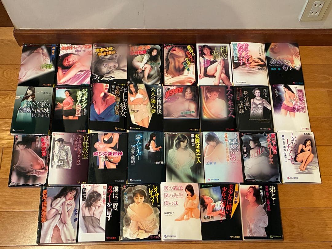 早い者勝ち フランス書院文庫 大量 90冊 大量 まとめ売り 官能小説
