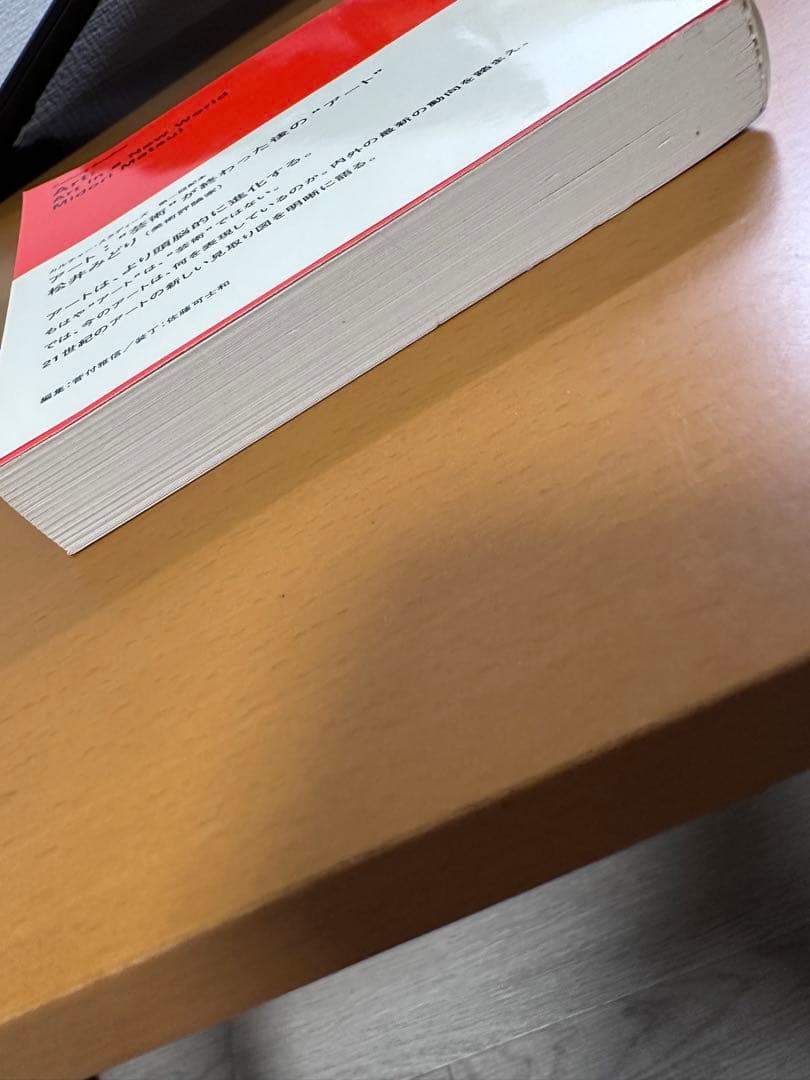 【絶版】【希少品】アート : \"芸術\"が終わった後の\"アート\"【美品】