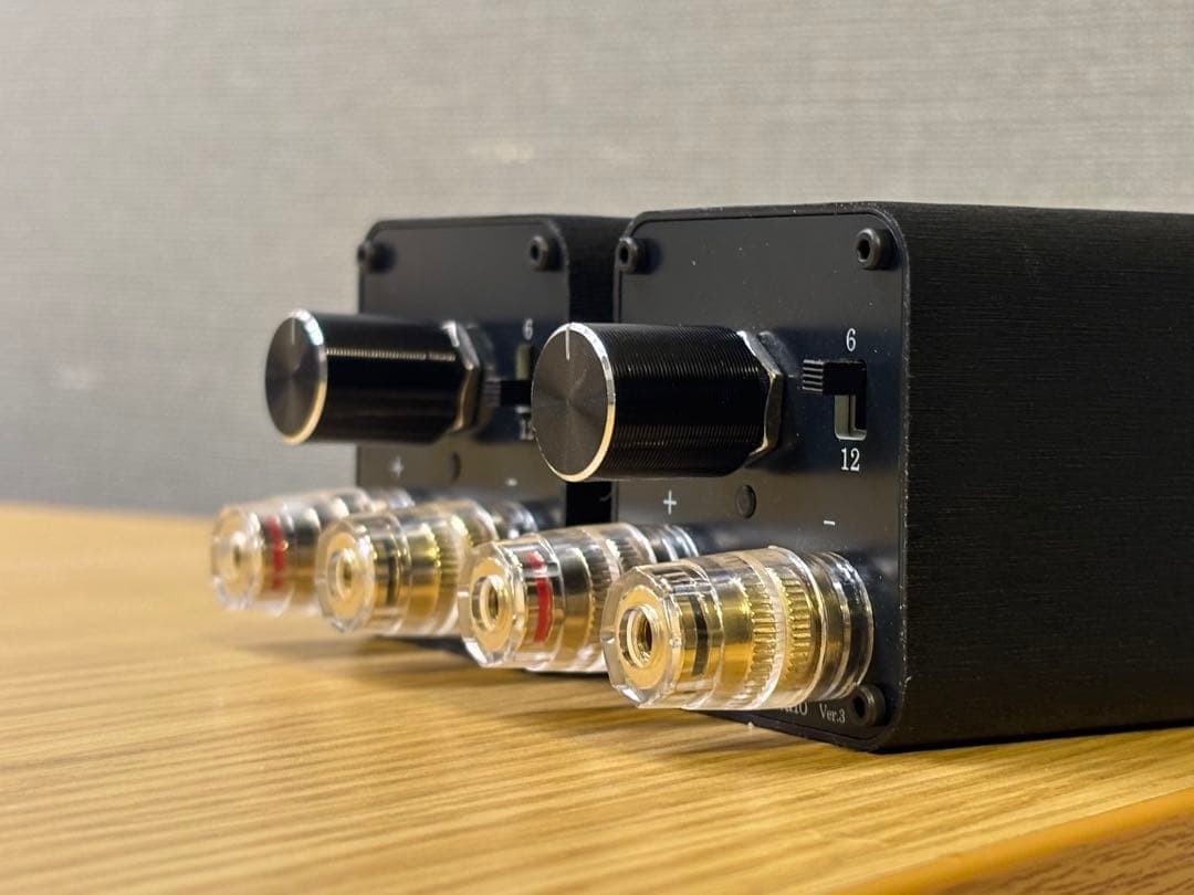 新モデル Lupinus Audio AMT-TP3ブラック スーパーツイーター