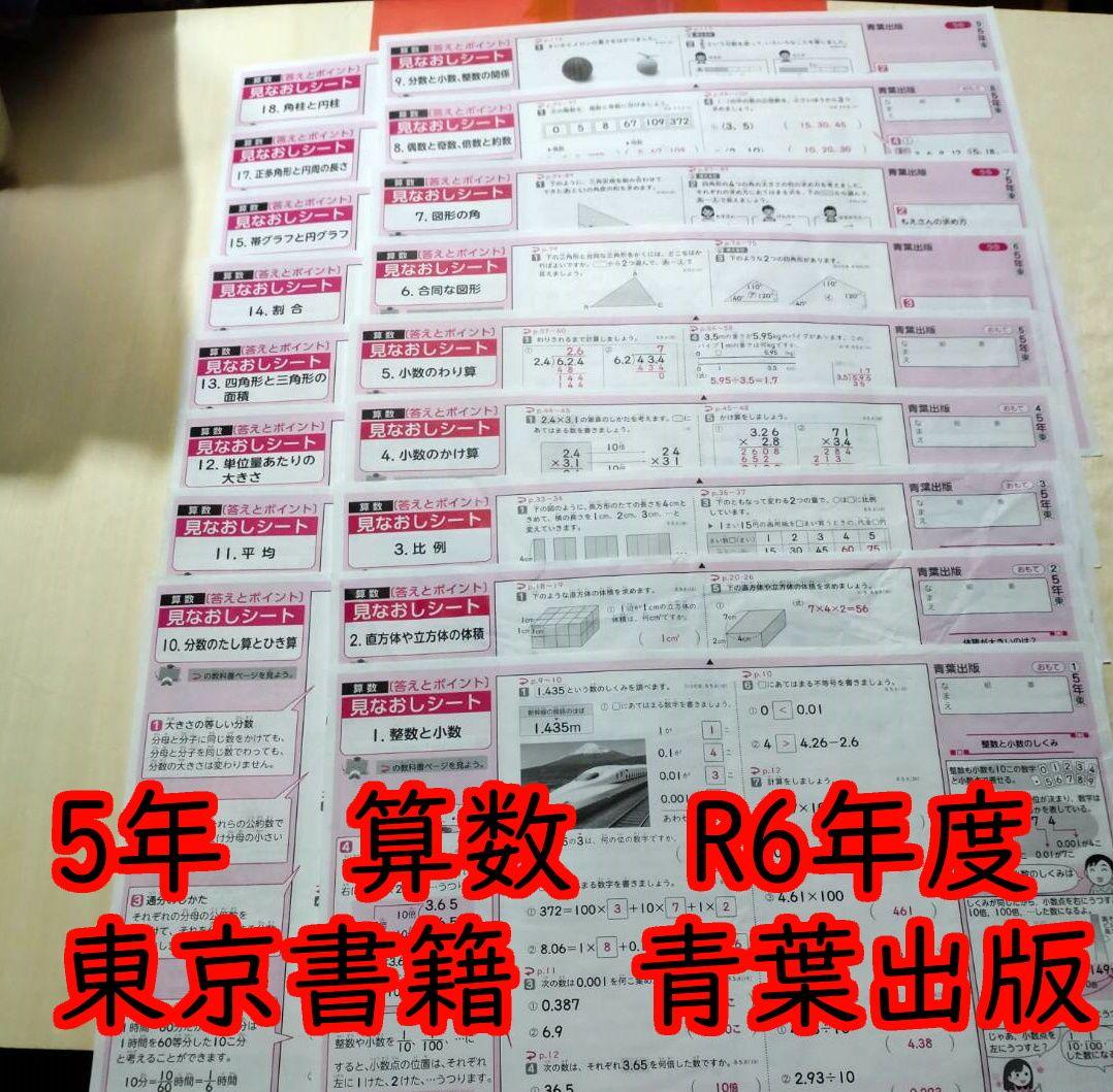 5年 小5 算数 東京書籍 青葉出版 カラーテスト 見直しシート - メルカリ