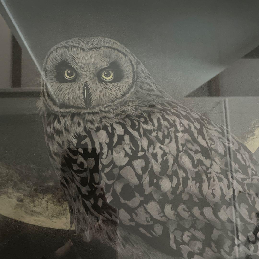 金澤隆 日本画 夜の帳 フクロウ インテリア 額縁 絵画 - メルカリ
