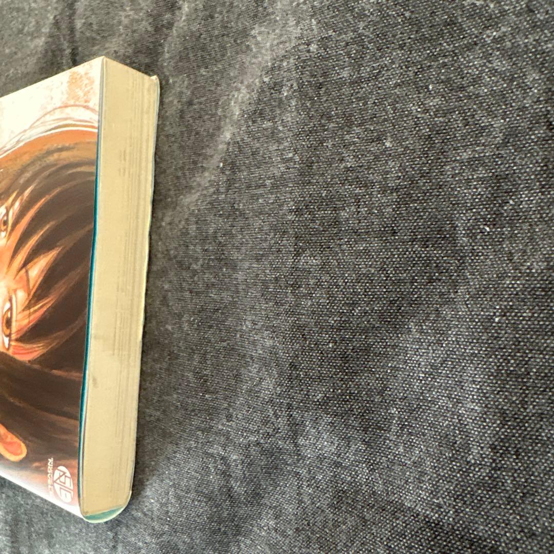 PSYCHE プシュケ　　唐辺葉介