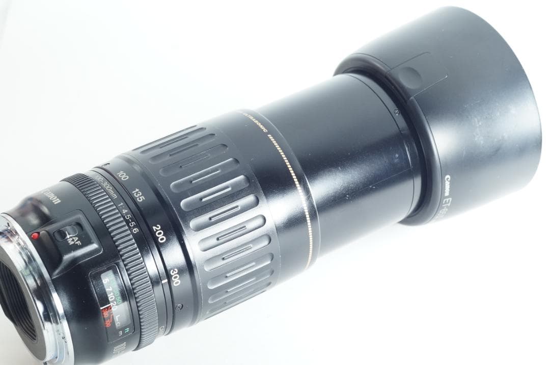 遠く 望遠レンズ Canon EF100-300mm F4.5-5.6 USM