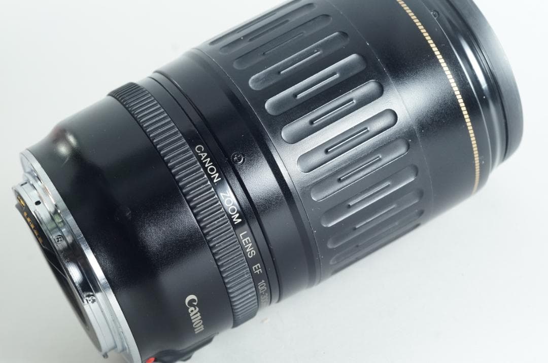 遠く 望遠レンズ Canon EF100-300mm F4.5-5.6 USM