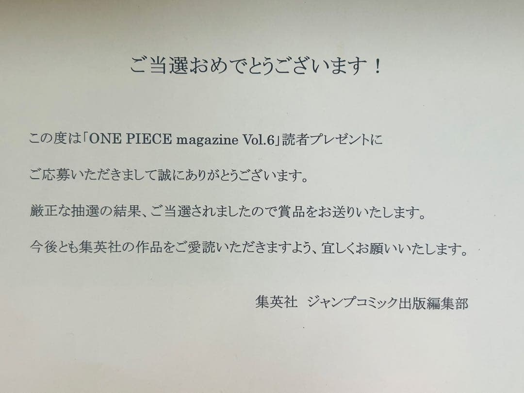 ワンピースマガジンVol.6当選品☆特製クリアファイル☆2種セット