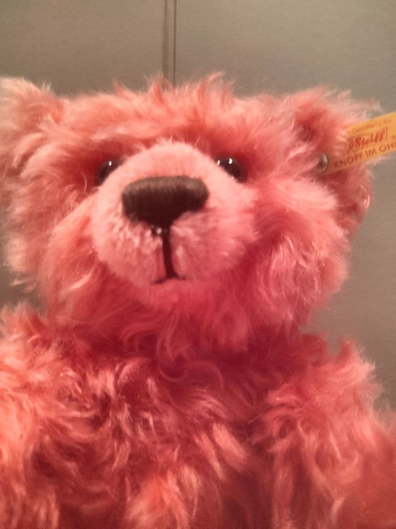 シュタイフ レッド ファジーテディベア ヴィンテージ イヤーボタンタグ