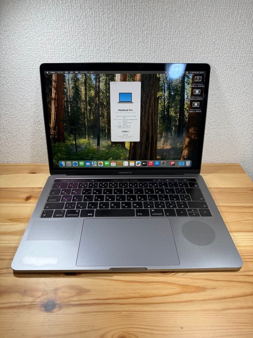 Apple MacBook Pro 13インチ 2019 i7/16GB/250 MacBook Pro (13-inch, 2019, Two Thunderbolt 3 ports) - Technical