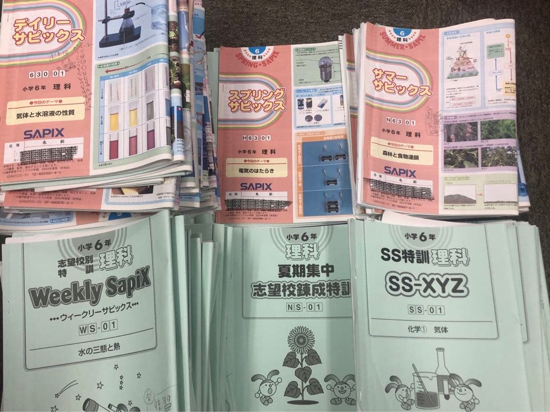 サピックス6年理科 デイリー/夏期集中/春夏/土特 /日特 中古 2025年