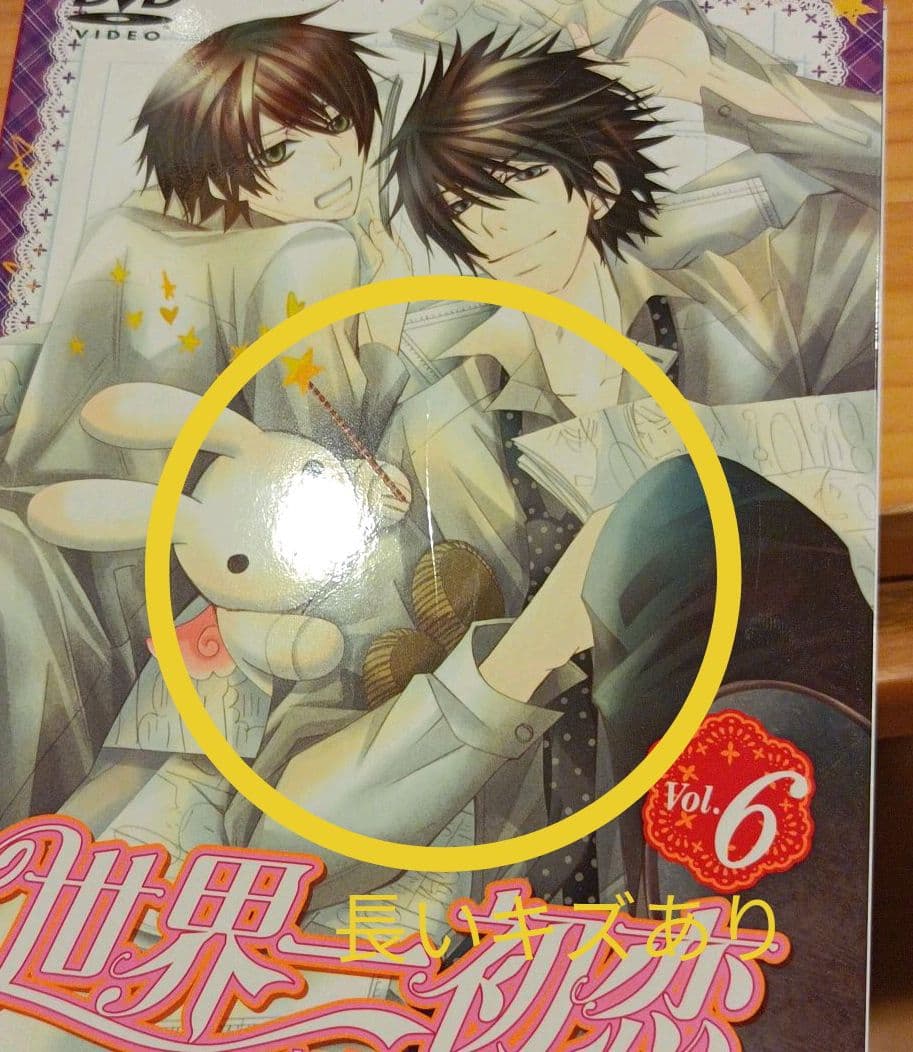 ご購入できません!　世界一初恋　キズの画像