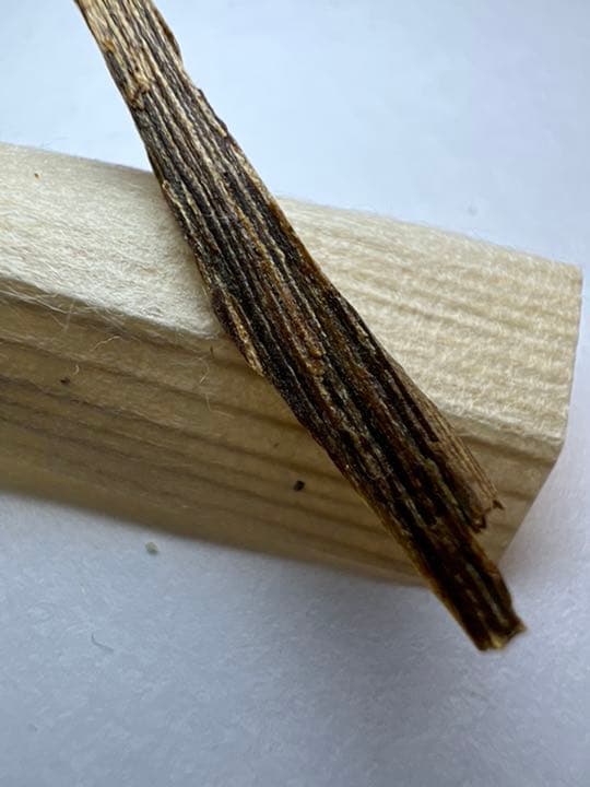 古渡命銘木 東山院勅銘　伽羅　銘【春の夕風】0.178g 香木/お香/沈香/伽羅