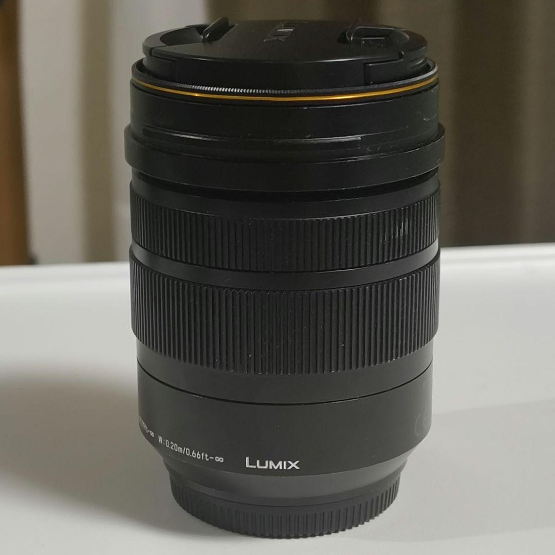 レンズ(ズーム) LEICA DG VARIO-ELMARIT 12-60mm f/2.8-4.0