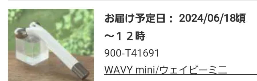 美顔器 ヤーマン 《WAVY mini ウェイビー ミニ EP16W10》