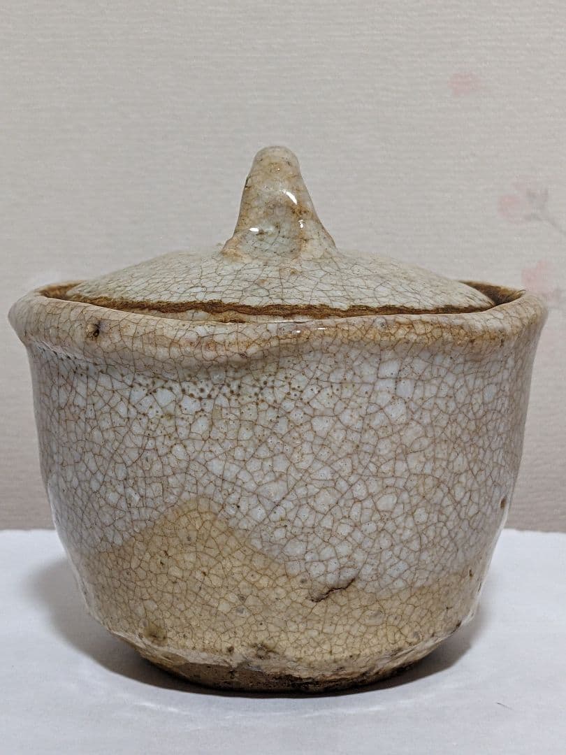 ♢江戸時代 幕末〜明治時代 煎茶道具 急須 古美術コレクション骨董品