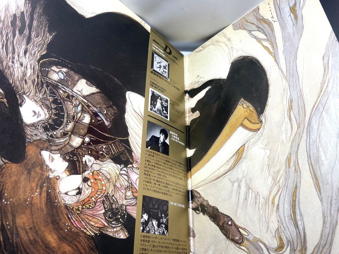 吸血鬼ハンターD オリジナルサウンドトラック レコード - メルカリ