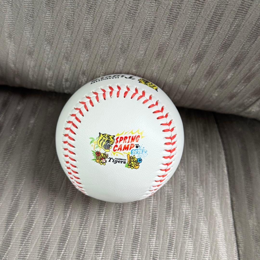 阪神タイガース 立石正広 直筆サインボール 沖縄キャンプ限定