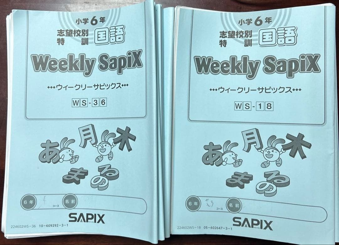 ㉔な サピックス SAPIX 6年ウィークリーサピックス 国語 知識の総完成