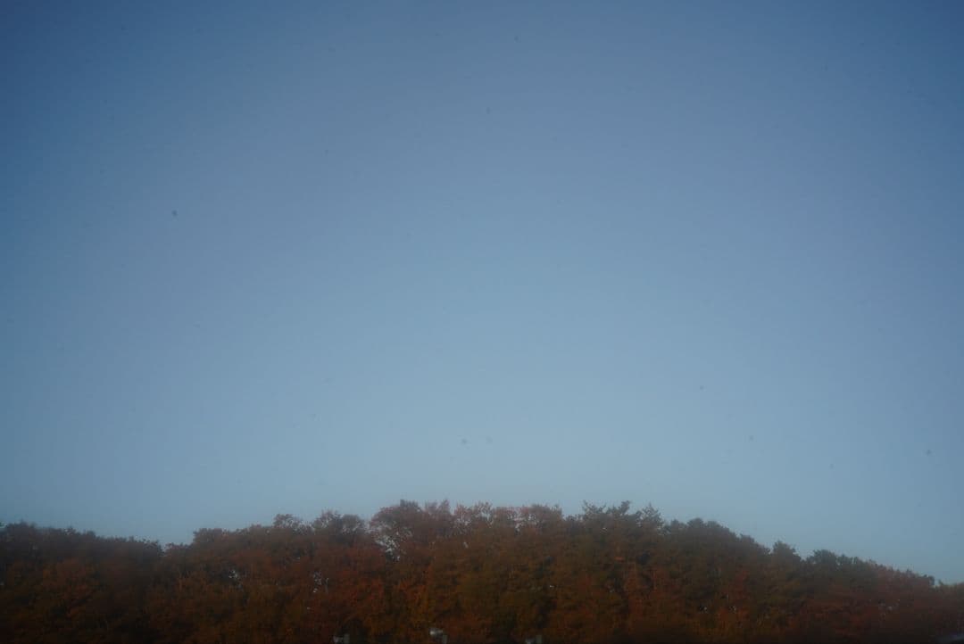 ☆作例あり☆ キャノン レンズ 50㎜ F=1:1.5 L39マウントレンズ