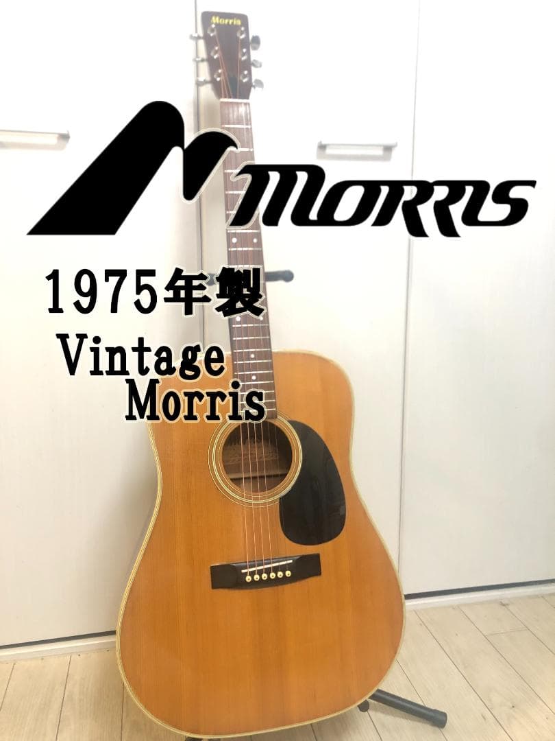Morris モーリス W-20 アコースティックギター ビンテージ MORRIS W-20 モーリス 【 そよら成田ニュータウン店 】 | 島村楽器