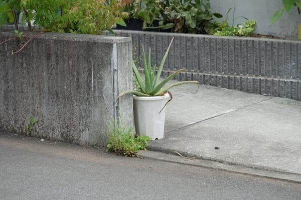 富士フィルム フジノン XF55-200mm F3.5-4.5 R LM OIS