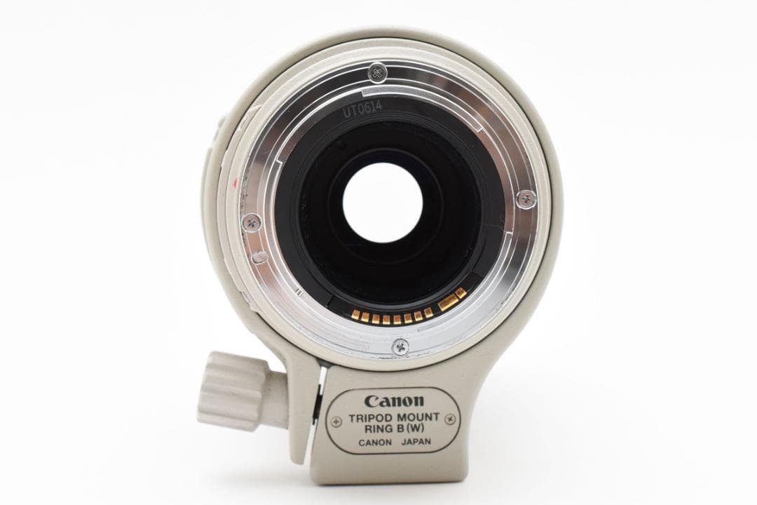 Canon EF 100-400mm Ｆ4.5-5.6 L IS USM 772