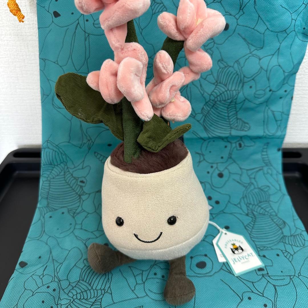 新作 新品 ジェリーキャット 花 蘭 胡蝶蘭 ラン 観葉植物 ぬいぐるみ