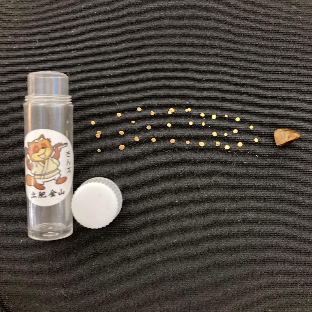 土肥金山 砂金 32粒（内3つは双子） 鉱石1粒 計33粒セット - メルカリ