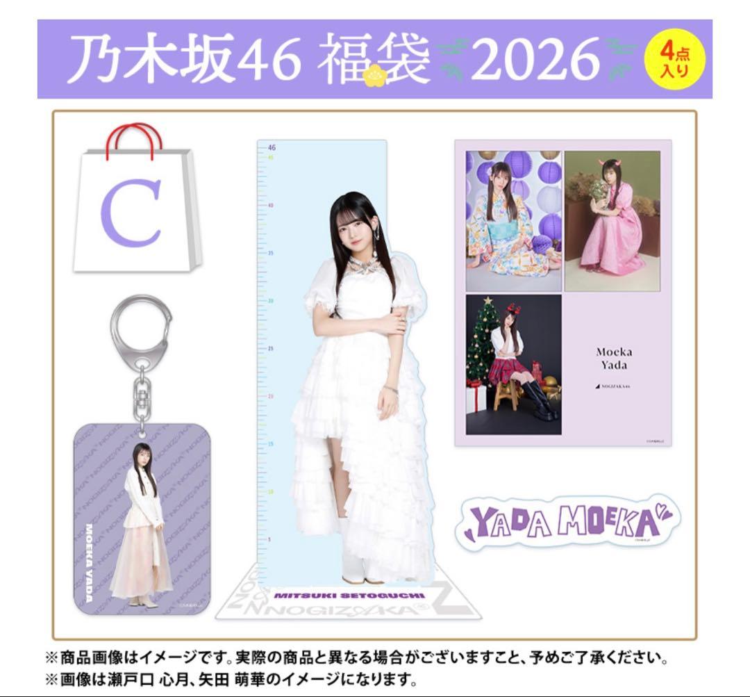 匿名】川﨑桜 46cmアクリル定規スタンド 乃木坂46 2026年 福袋C - メルカリ