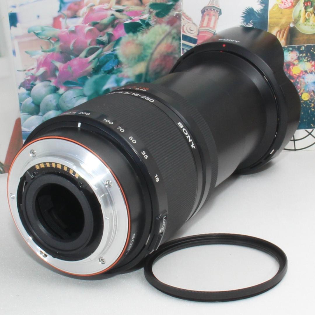 ❤️近遠対応の神レンズ❤️SONY DT 18-250mm ソニーaマウント用