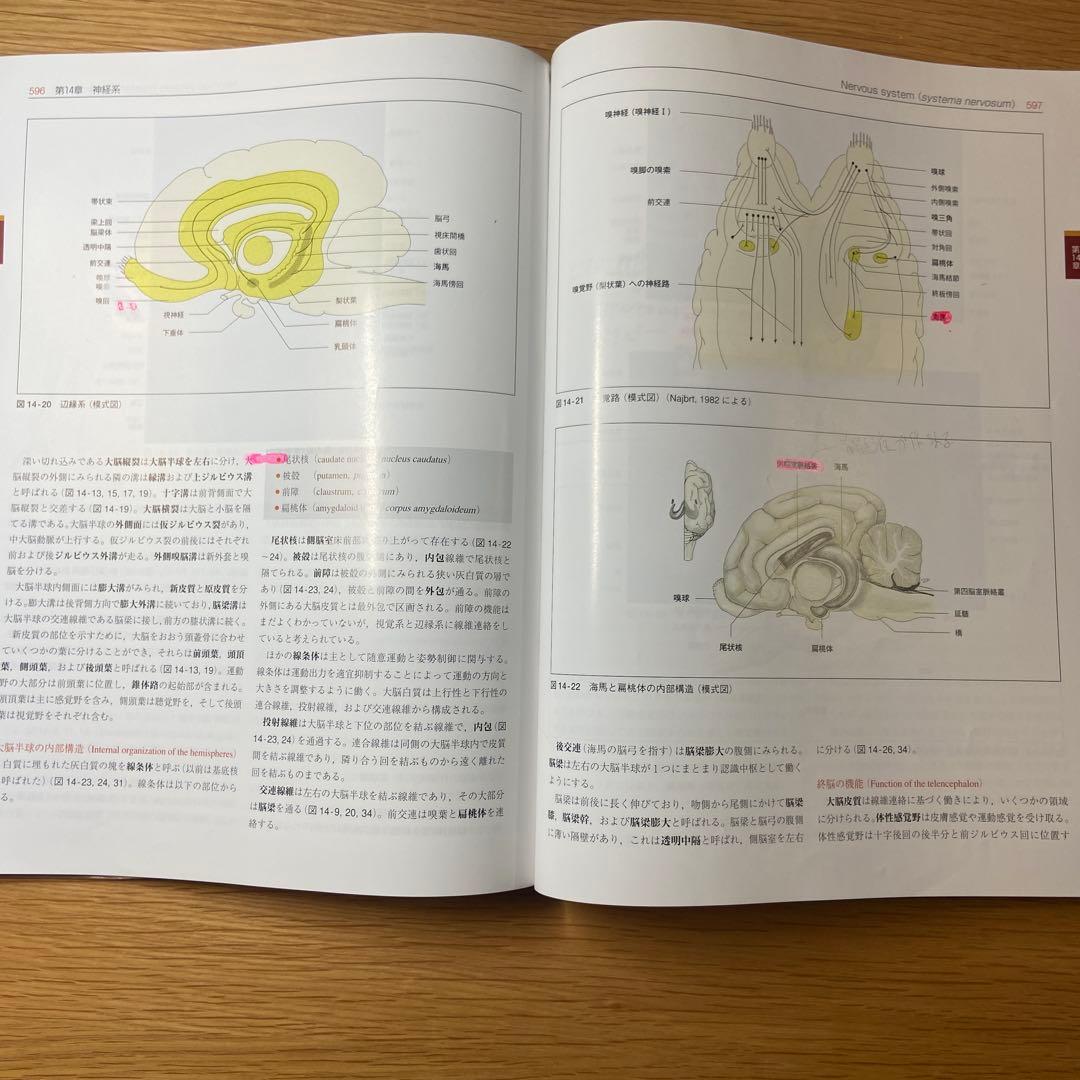 カラーアトラス獣医解剖学 【下巻】 増補改訂第2版 - メルカリ