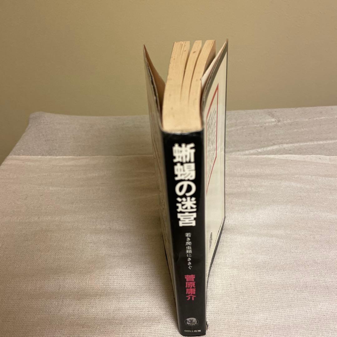 蜥蜴の迷宮 菅原庸介 DOLL出版