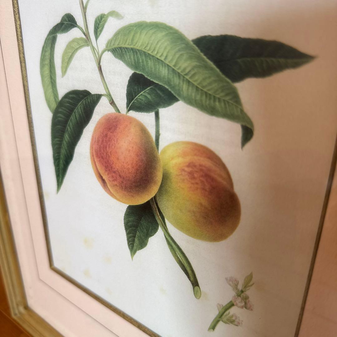 ピエール=ジョゼフ・ルドゥーテ 額縁 - メルカリ