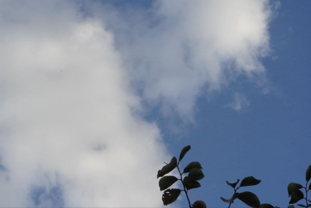 ☆作例あり☆ キャノン レンズ 100㎜ F=1:2　No.13386 L39