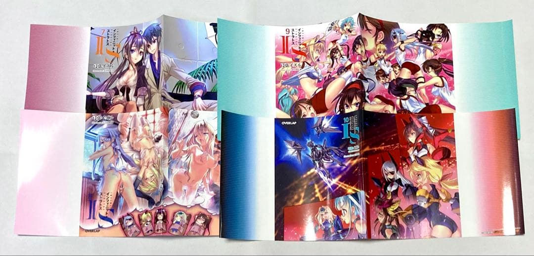 インフィニット・ストラトス(オーバーラップ文庫版) 掛け替えブック