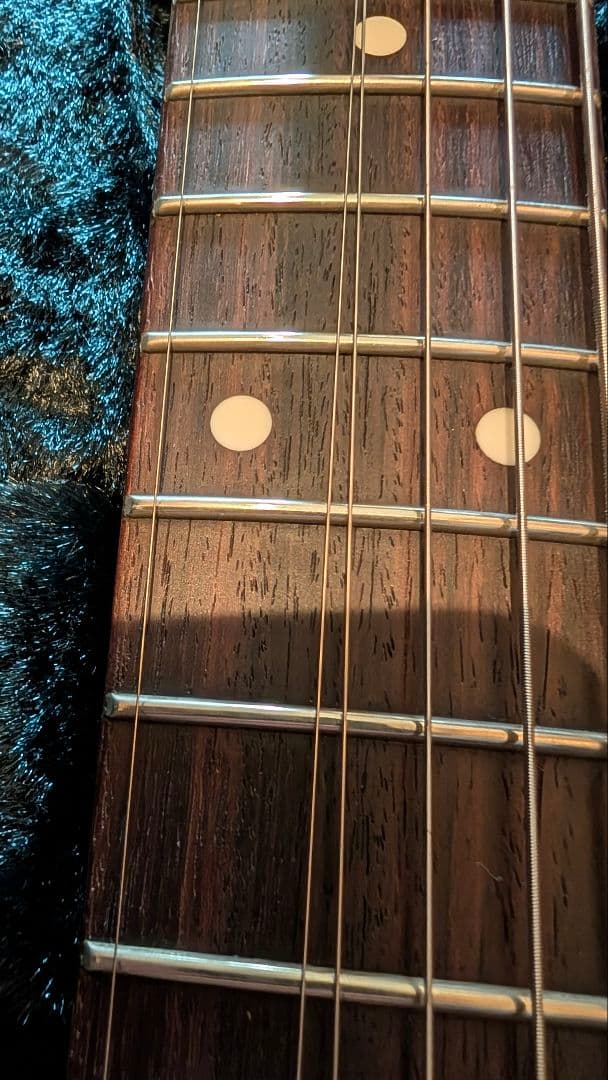 HISTORY TH-SV/R VWH フジゲン heritage wood - メルカリ