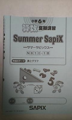 サマーサピックス 夏期講習＊6年＊算数＊αクラス 応用発展＊全18回