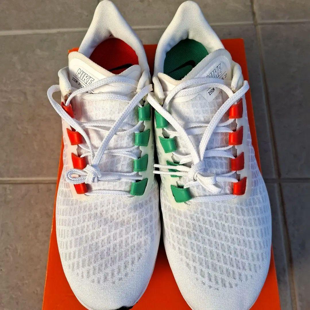 ナイキエアズームペガサス37EK 27.5cm