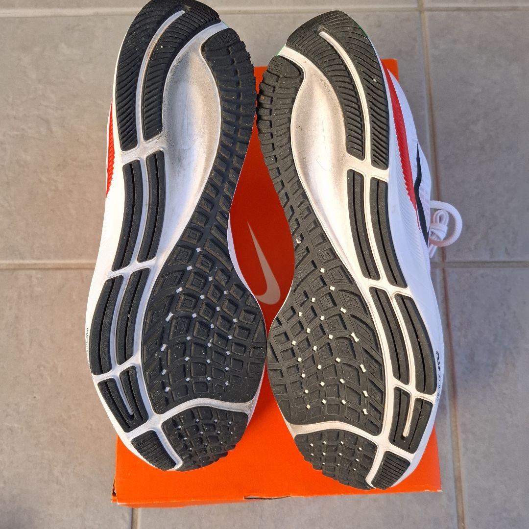 ナイキエアズームペガサス37EK 27.5cm