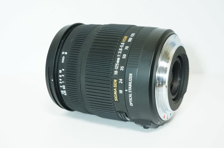 【手振れ】 SIGMA 18-125 F3.8-5.6 DC OS HSM